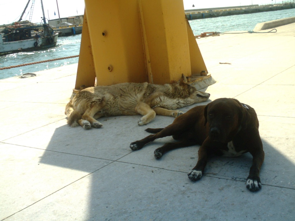 Gita a Fiumicino